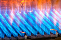 Sinnington gas fired boilers